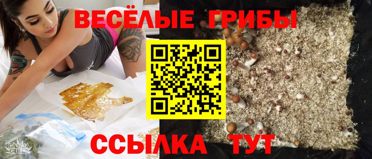 Галлюциногенные грибы Psilocybine cubensis  Вход с VPN  Дальнегорск 