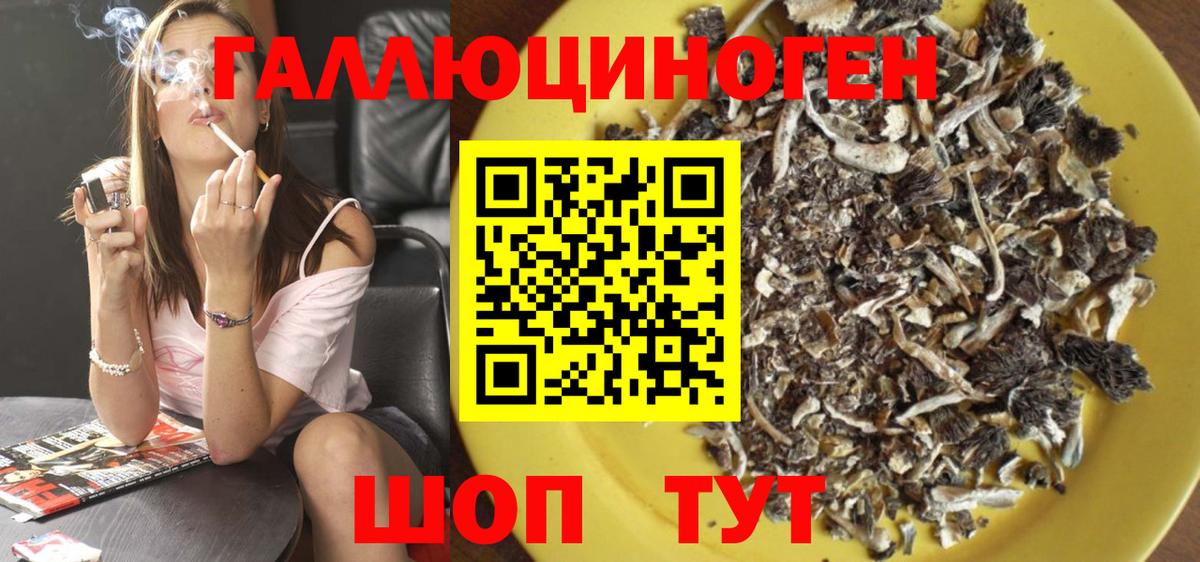 Галлюциногенные грибы MAGIC MUSHROOMS Дальнегорск
